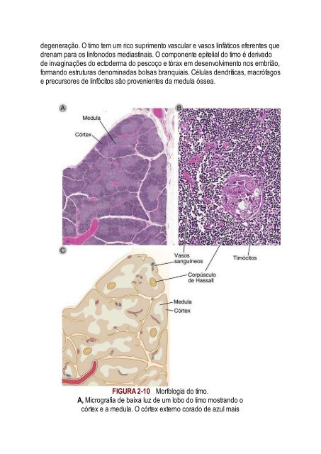 Abbas 8ed - Imunologia Celular e Molecular 