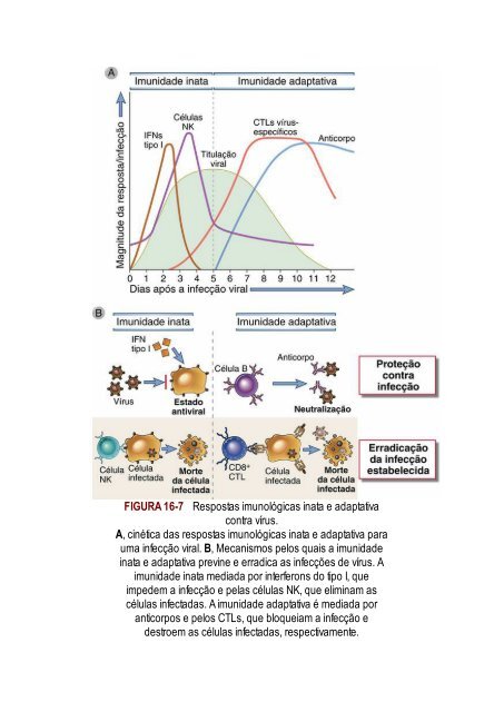 Abbas 8ed - Imunologia Celular e Molecular 