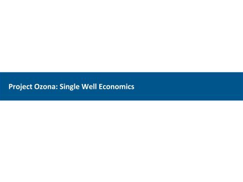 Project Ozona Economic &amp; Technical Review[8167]