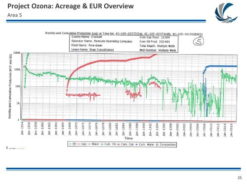 Project Ozona Economic &amp; Technical Review[8167]