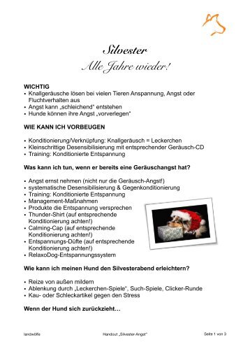 Handout Silvester-Angst