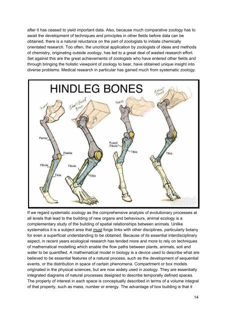 scopeofzoology