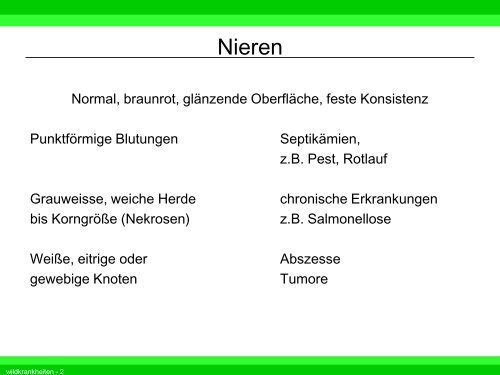 Vildtsygdomme (2)