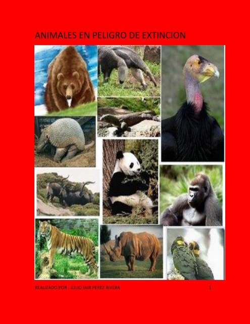 ANIMALES EN PELIGRO DE EXTINCION