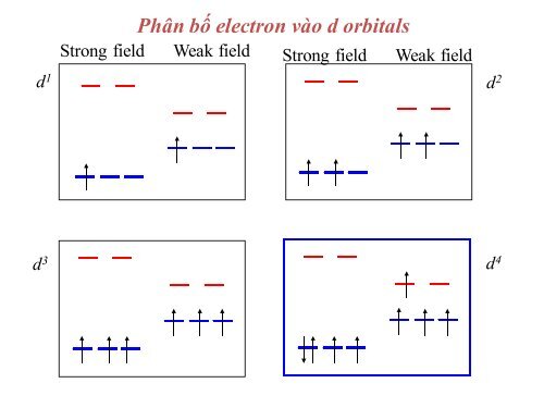 Hóa học phức chất