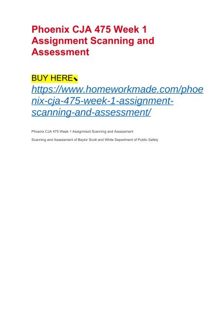 Phoenix CJA 475 Week 1 Assignment Scanning and Assessment 