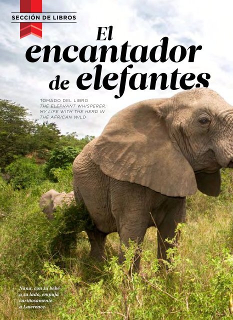 El encantador de elefantes