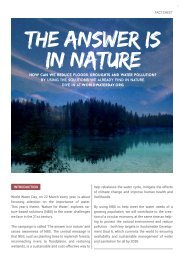 World Water Day - the answer is in nature