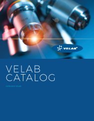 CAT VELAB2018