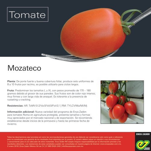 Leaflet Mozateco 2018