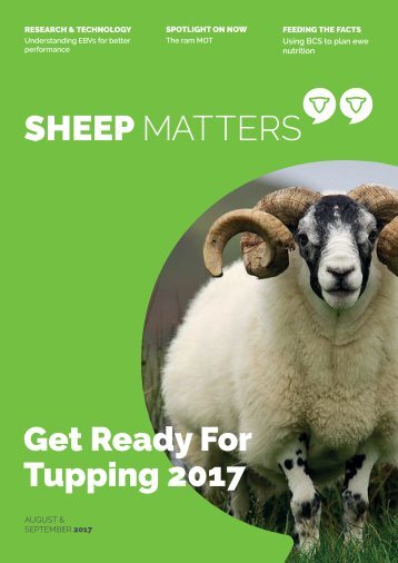 Sheep Matters_Aug-Sept 17 (redesigned)