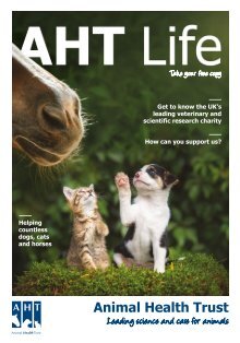 4 free Magazines from CUBIQDESIGN 4 free Magazines from CUBIQDESIGN