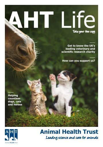 AHT Life Magazine 2018