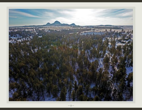 Bunney Ranch Photo Essay