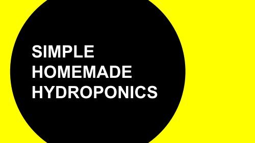 Simple Homemade Hydroponics