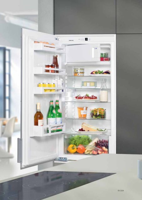 liebherr-download-de-de-commercial-appliances-built-in-2018