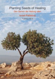 Israel Palestine DE