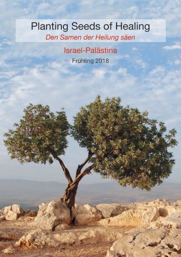 Israel Palestine DE