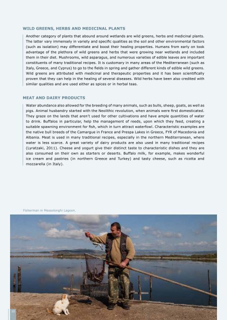 Gastronomic Heritage in Mediterranean wetlands ebook