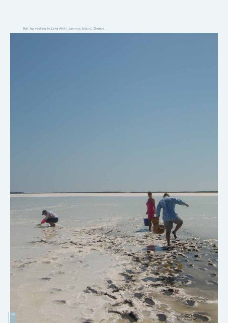 Gastronomic Heritage in Mediterranean wetlands ebook