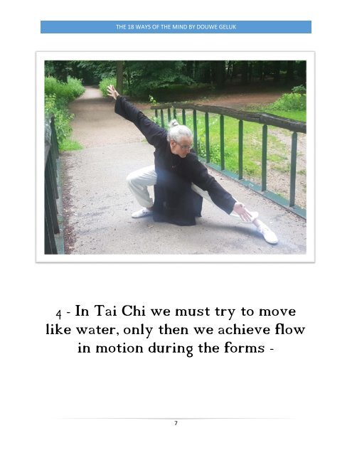 Tai Chi Chuan book '18 methods of the mind'