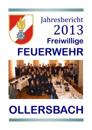 Jahresbericht_2013