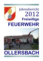 Jahresbericht_2012