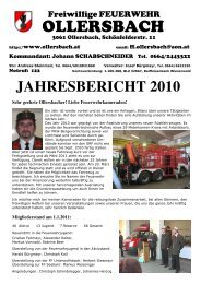 Jahresbericht_2010