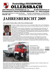 Jahresbericht2009