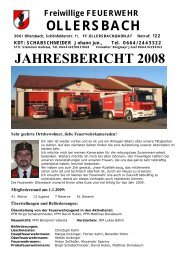 Jahresbericht2008