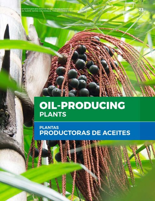 Catálogo de plantas nativas con potencial para biocomercio y bioprospección de la Reserva Natural Privada Punta Patiño