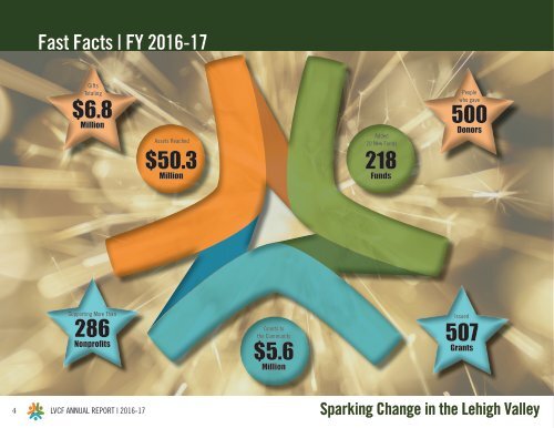 LVCF Annual Report 2016-17