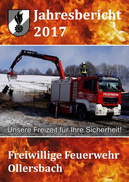 Jahresbericht 2017