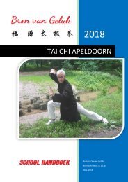 Informatie Tai Chi lessen in Apeldoorn