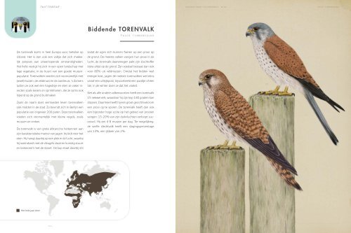 Roofvogels en uilen Inkijkexemplaar