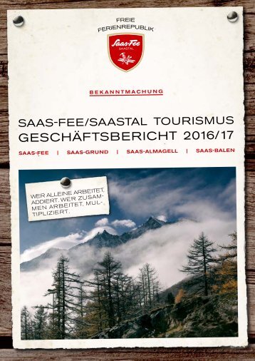 Geschäftsbericht 2016/2017