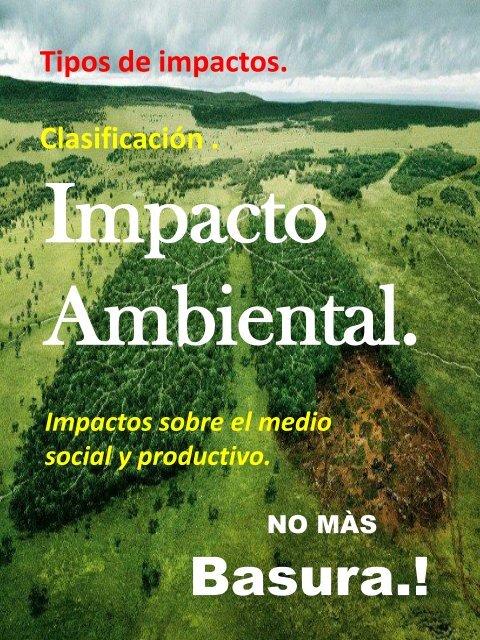 REVISTA IMPACTO