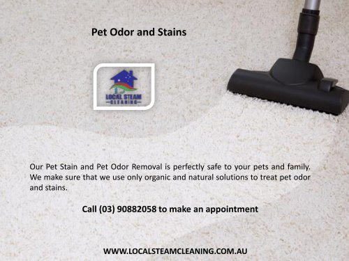 Pet Odor and Stains