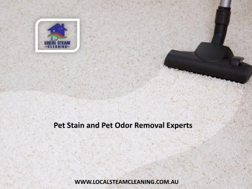 Pet Stain and Pet Odor Removal Experts