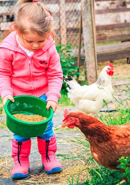 Agrodieren accessoires fournitures pour animaux de compagnie et d'élevage de passe-temps catalogque 2018