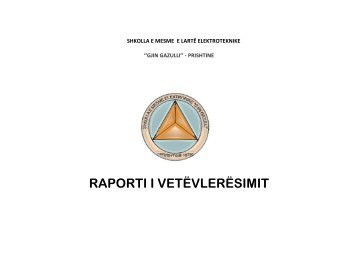 Raporti per vitin 2015-2016