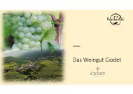 Das Weingut Ciodet