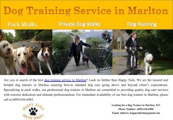 Dog Training Service In Marlton