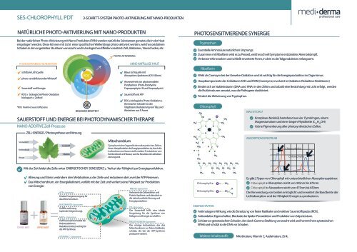 SES-CHLOROPHYLL PDT BROSCHÜRE