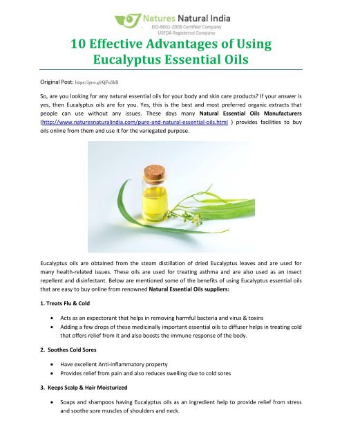 10 Effective Advantages Of Using Eucalyptus Essential Oils