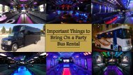 Important Things to Bring On a Party Bus Rental