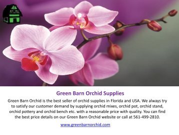 Shop Orchid Pots Online in Florida at Best Price