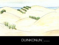 DUINKONIJN