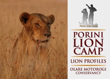 Olare Motorogi Conservancy: Lion Profiles