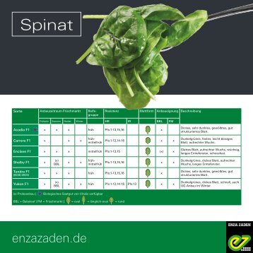 Leaflet Spinat 2018